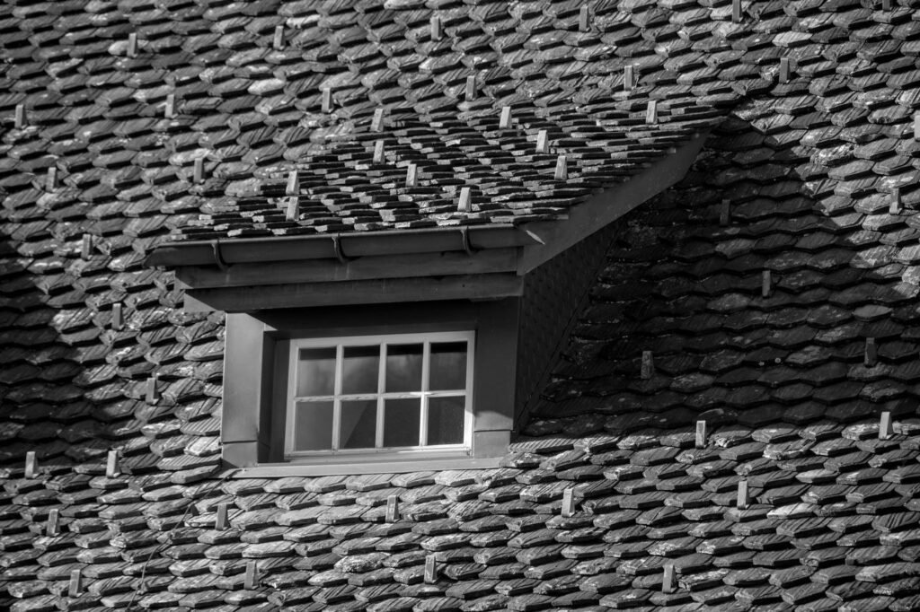 Détail de couverture — photographie d’illustration
